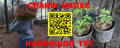 шишки Ликино-Дулёво