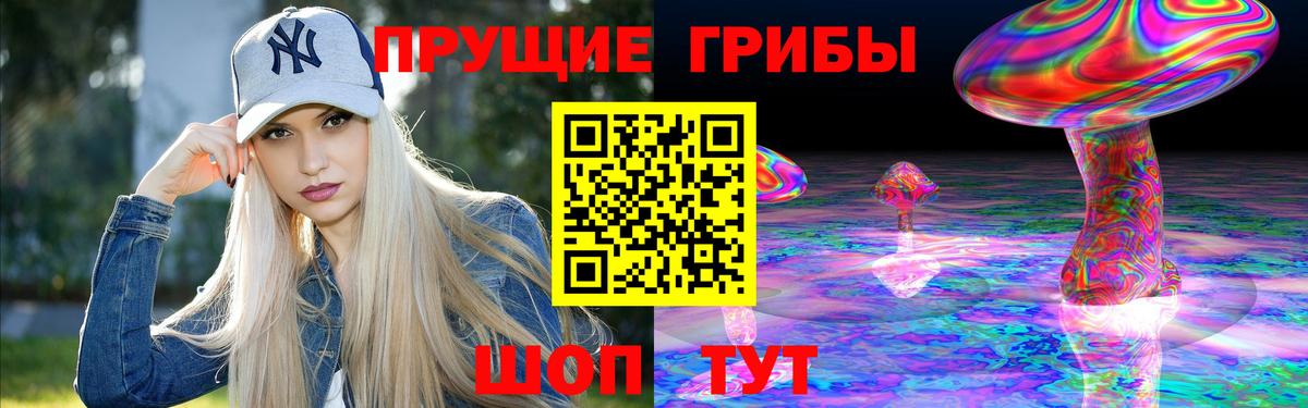 Гатчина  Галлюциногенные грибы прущие грибы  Псилоцибиновые грибы мухоморы  Вход с VPN 