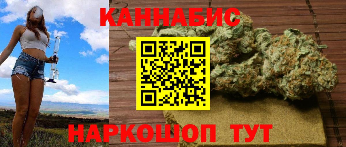 Каннабис индика Гатчина